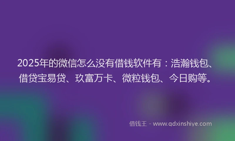 2025年的微信怎么没有借钱软件有：浩瀚钱包、借贷宝易贷、玖富万卡、微粒钱包、今日购等。