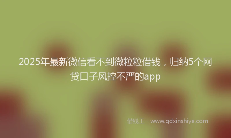 2025年最新微信看不到微粒粒借钱，归纳5个网贷口子风控不严的app