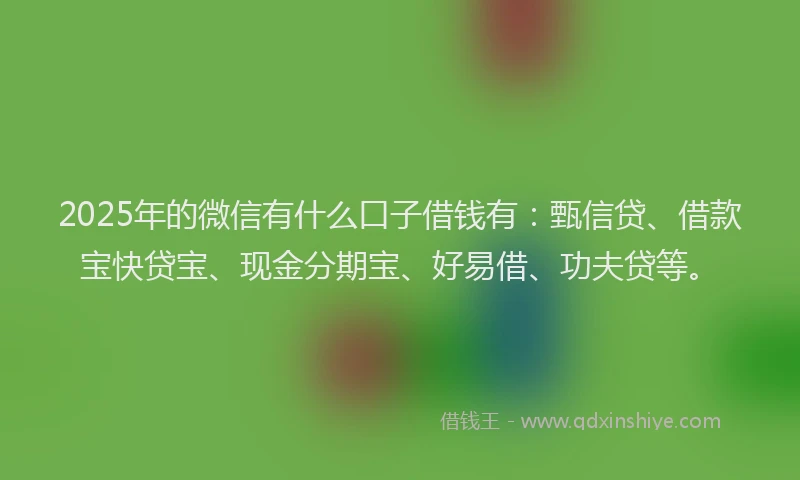 2025年的微信有什么口子借钱有：甄信贷、借款宝快贷宝、现金分期宝、好易借、功夫贷等。