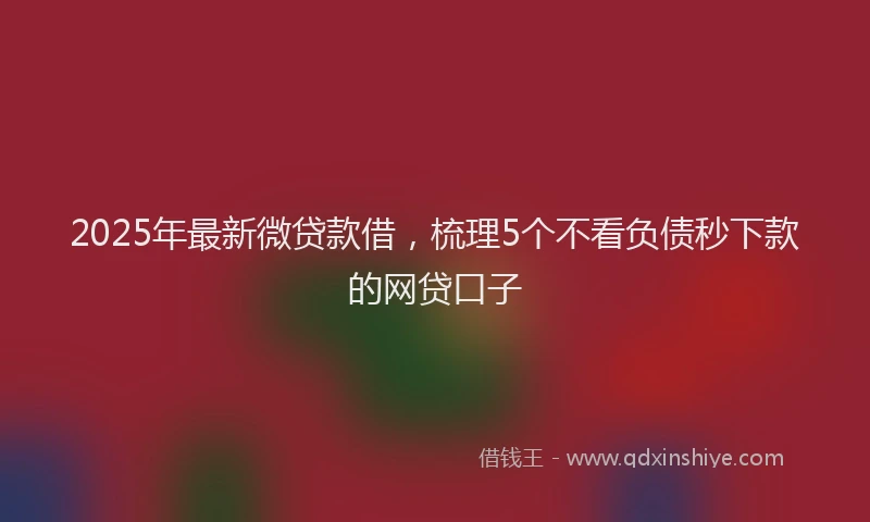 2025年最新微贷款借，梳理5个不看负债秒下款的网贷口子