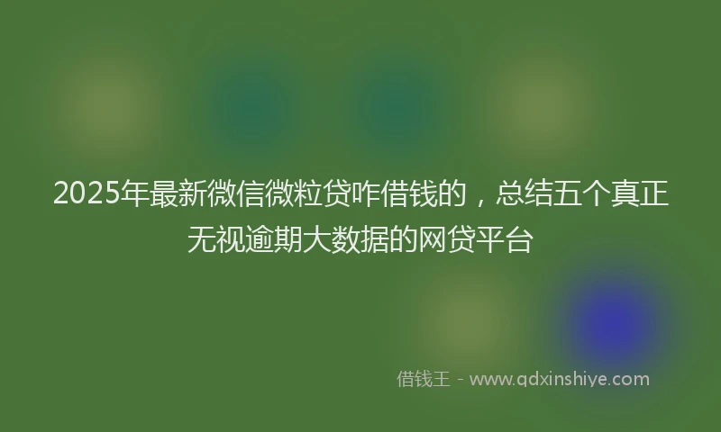 2025年最新微信微粒贷咋借钱的，总结五个真正无视逾期大数据的网贷平台
