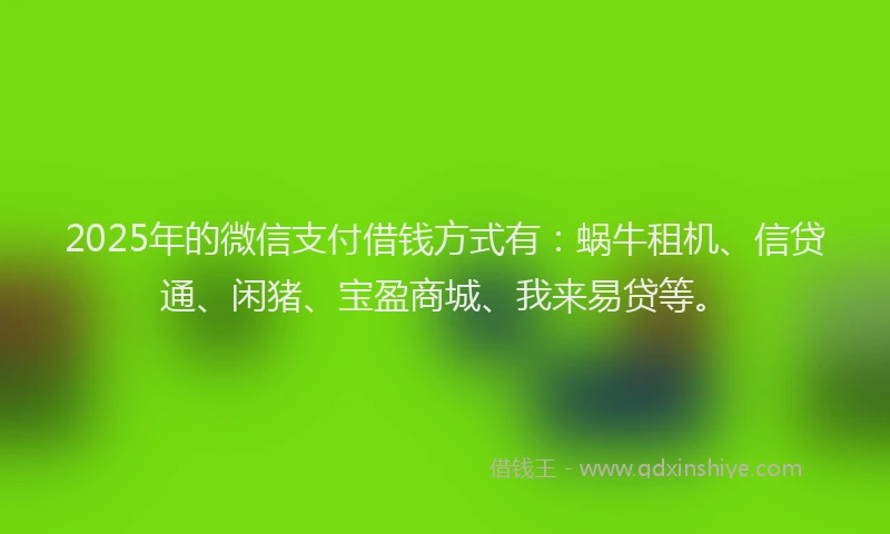 2025年的微信支付借钱方式有：蜗牛租机、信贷通、闲猪、宝盈商城、我来易贷等。