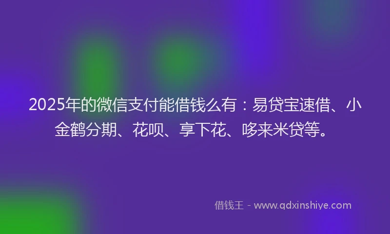 2025年的微信支付能借钱么有：易贷宝速借、小金鹤分期、花呗、享下花、哆来米贷等。