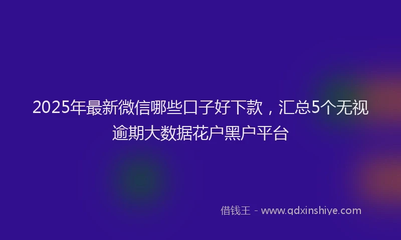 2025年最新微信哪些口子好下款，汇总5个无视逾期大数据花户黑户平台