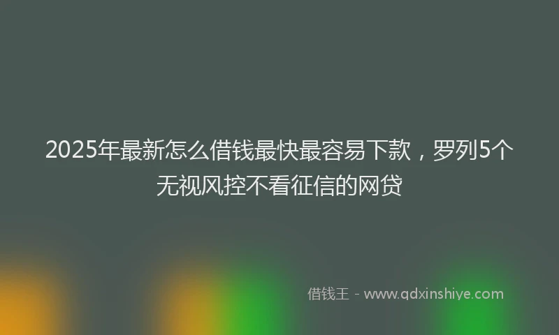 2025年最新怎么借钱最快最容易下款，罗列5个无视风控不看征信的网贷