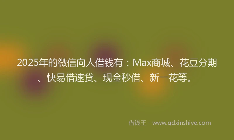 2025年的微信向人借钱有：Max商城、花豆分期、快易借速贷、现金秒借、新一花等。