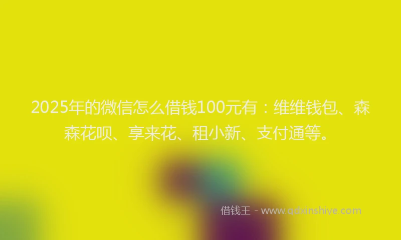 2025年的微信怎么借钱100元有：维维钱包、森森花呗、享来花、租小新、支付通等。