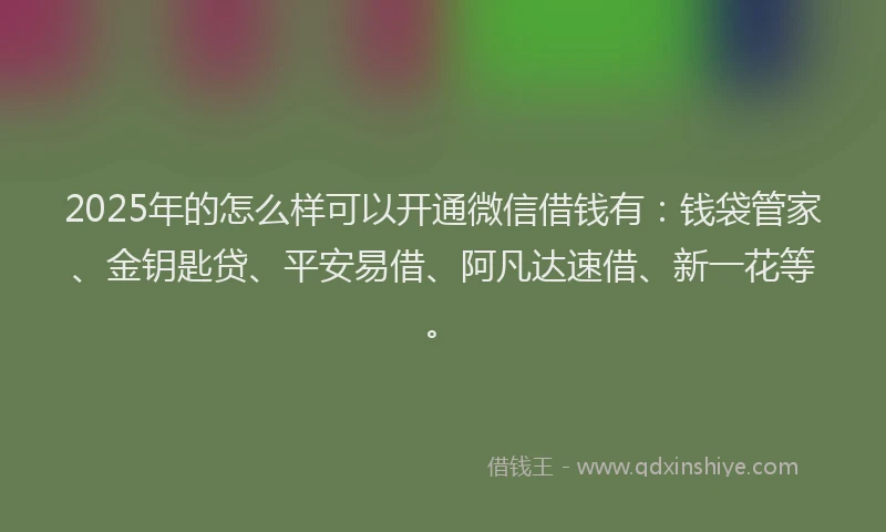2025年的怎么样可以开通微信借钱有：钱袋管家、金钥匙贷、平安易借、阿凡达速借、新一花等。