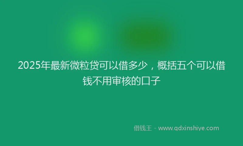 2025年最新微粒贷可以借多少，概括五个可以借钱不用审核的口子