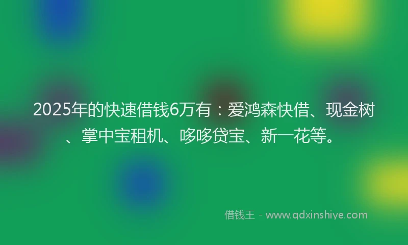 2025年的快速借钱6万有：爱鸿森快借、现金树、掌中宝租机、哆哆贷宝、新一花等。