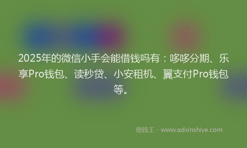 2025年的微信小手会能借钱吗有：哆哆分期、乐享Pro钱包、读秒贷、小安租机、翼支付Pro钱包等。