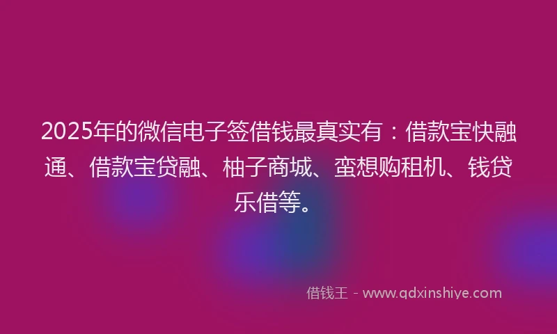 2025年的微信电子签借钱最真实有：借款宝快融通、借款宝贷融、柚子商城、蛮想购租机、钱贷乐借等。