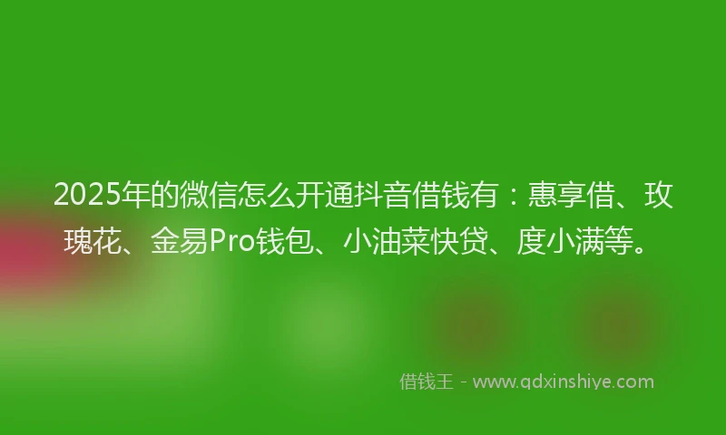 2025年的微信怎么开通抖音借钱有：惠享借、玫瑰花、金易Pro钱包、小油菜快贷、度小满等。
