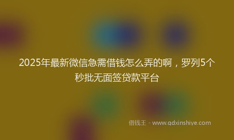 2025年最新微信急需借钱怎么弄的啊，罗列5个秒批无面签贷款平台