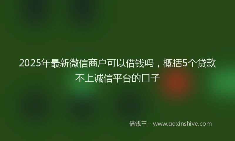 2025年最新微信商户可以借钱吗，概括5个贷款不上诚信平台的口子
