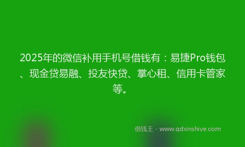 2025年的微信补用手机号借钱有：易捷Pro钱包、现金贷易融、投友快贷、掌心租、信用卡管家等。