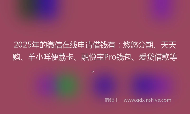 2025年的微信在线申请借钱有：悠悠分期、天天购、羊小咩便荔卡、融悦宝Pro钱包、爱贷借款等。