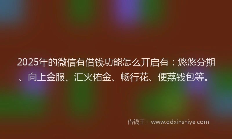 2025年的微信有借钱功能怎么开启有：悠悠分期、向上金服、汇火佑金、畅行花、便荔钱包等。