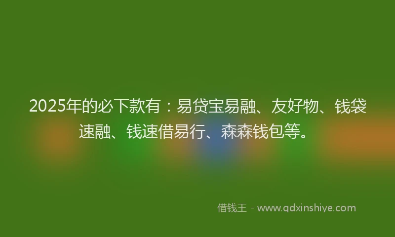 2025年的必下款有：易贷宝易融、友好物、钱袋速融、钱速借易行、森森钱包等。