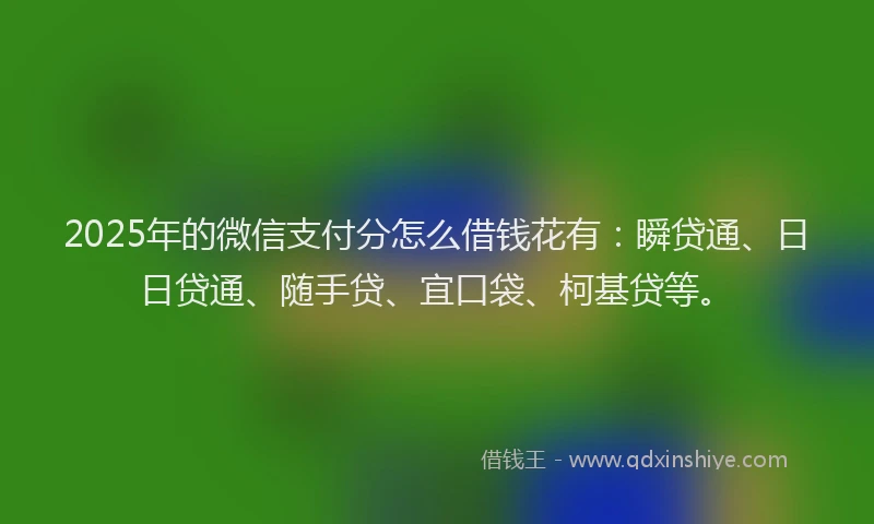 2025年的微信支付分怎么借钱花有：瞬贷通、日日贷通、随手贷、宜口袋、柯基贷等。