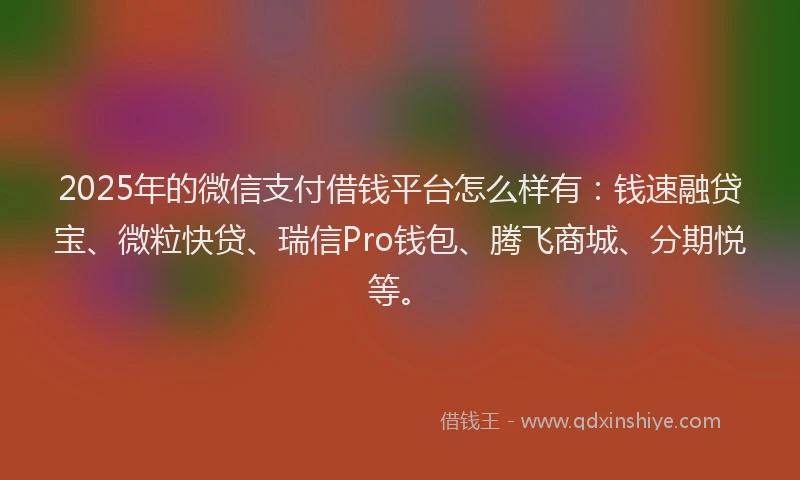 2025年的微信支付借钱平台怎么样有：钱速融贷宝、微粒快贷、瑞信Pro钱包、腾飞商城、分期悦等。