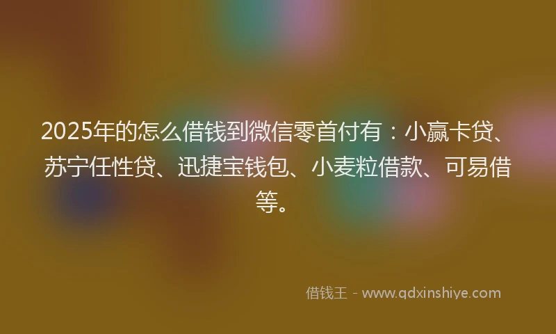 2025年的怎么借钱到微信零首付有：小赢卡贷、苏宁任性贷、迅捷宝钱包、小麦粒借款、可易借等。