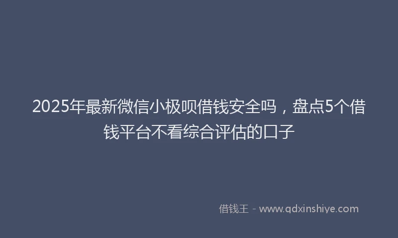 2025年最新微信小极呗借钱安全吗，盘点5个借钱平台不看综合评估的口子