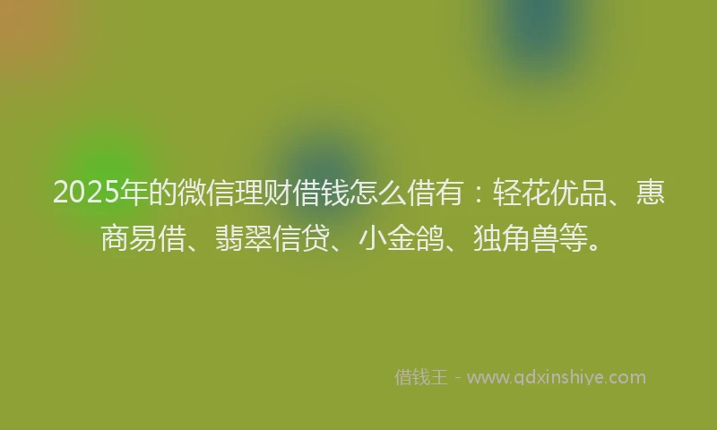 2025年的微信理财借钱怎么借有：轻花优品、惠商易借、翡翠信贷、小金鸽、独角兽等。