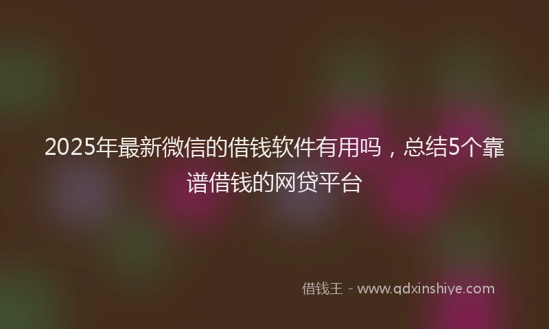 2025年最新微信的借钱软件有用吗，总结5个靠谱借钱的网贷平台