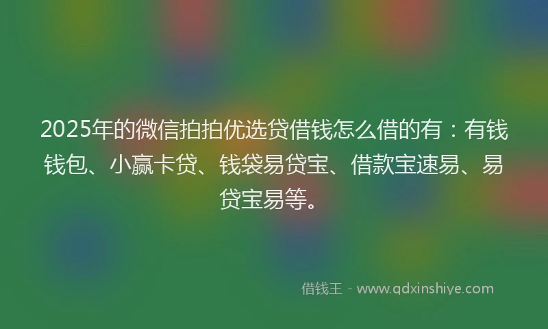 2025年的微信拍拍优选贷借钱怎么借的有：有钱钱包、小赢卡贷、钱袋易贷宝、借款宝速易、易贷宝易等。