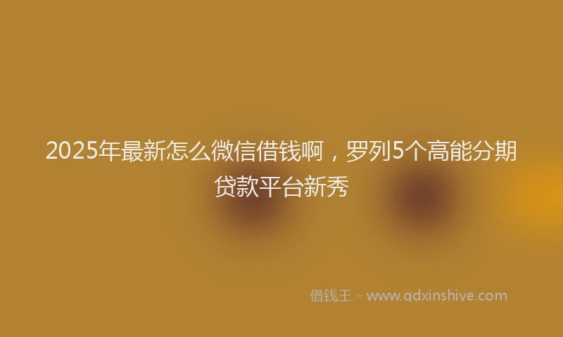 2025年最新怎么微信借钱啊，罗列5个高能分期贷款平台新秀
