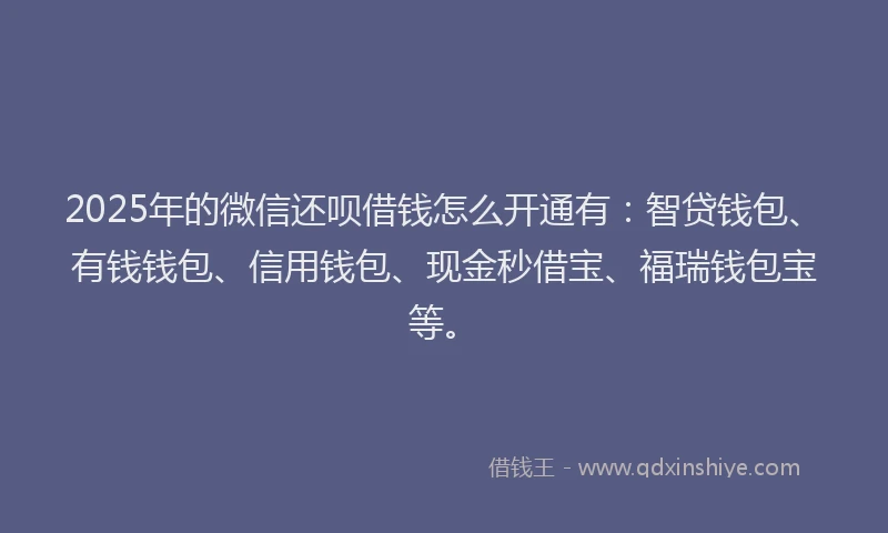 2025年的微信还呗借钱怎么开通有：智贷钱包、有钱钱包、信用钱包、现金秒借宝、福瑞钱包宝等。