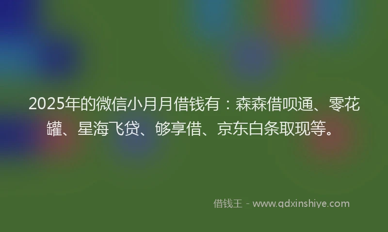 2025年的微信小月月借钱有：森森借呗通、零花罐、星海飞贷、够享借、京东白条取现等。