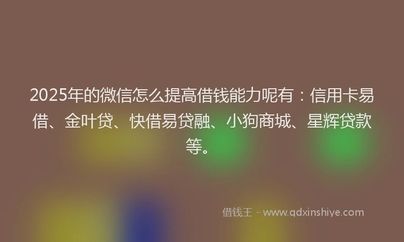 2025年的微信怎么提高借钱能力呢有：信用卡易借、金叶贷、快借易贷融、小狗商城、星辉贷款等。