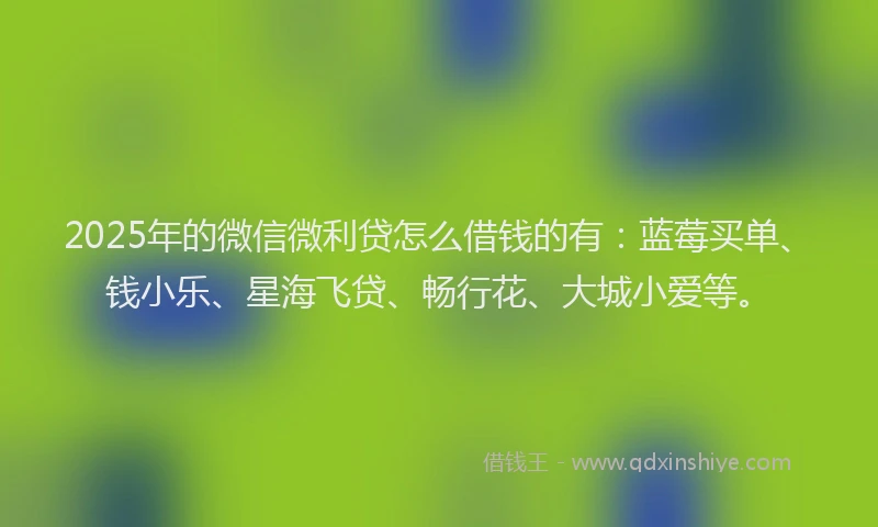 2025年的微信微利贷怎么借钱的有：蓝莓买单、钱小乐、星海飞贷、畅行花、大城小爱等。