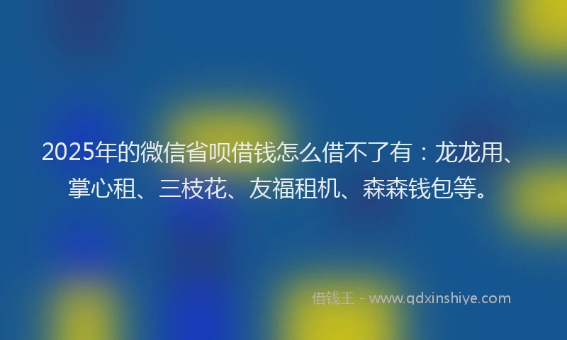 2025年的微信省呗借钱怎么借不了有：龙龙用、掌心租、三枝花、友福租机、森森钱包等。