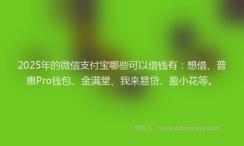 2025年的微信支付宝哪些可以借钱有：想借、普惠Pro钱包、金满堂、我来易贷、盈小花等。
