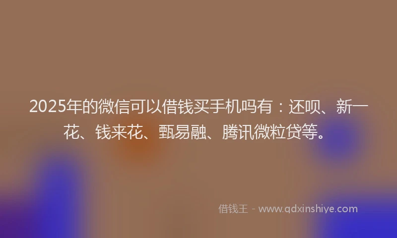 2025年的微信可以借钱买手机吗有：还呗、新一花、钱来花、甄易融、腾讯微粒贷等。