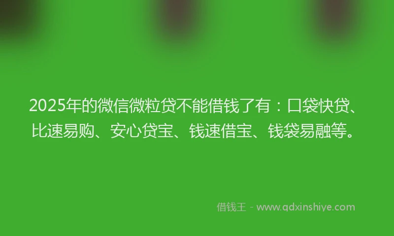 2025年的微信微粒贷不能借钱了有：口袋快贷、比速易购、安心贷宝、钱速借宝、钱袋易融等。