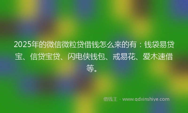 2025年的微信微粒贷借钱怎么来的有：钱袋易贷宝、信贷宝贷、闪电侠钱包、戒易花、爱木速借等。