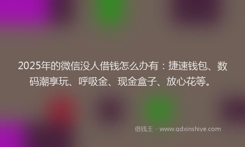 2025年的微信没人借钱怎么办有：捷速钱包、数码潮享玩、呼吸金、现金盒子、放心花等。