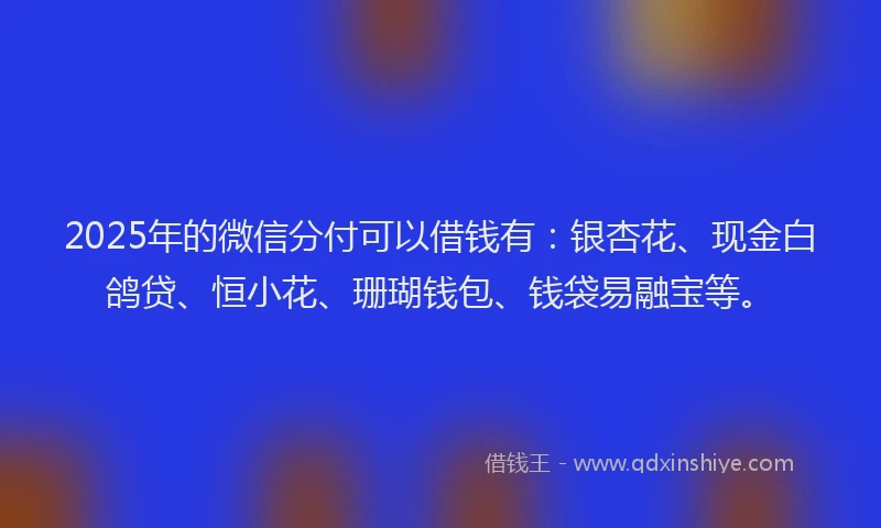 2025年的微信分付可以借钱有：银杏花、现金白鸽贷、恒小花、珊瑚钱包、钱袋易融宝等。