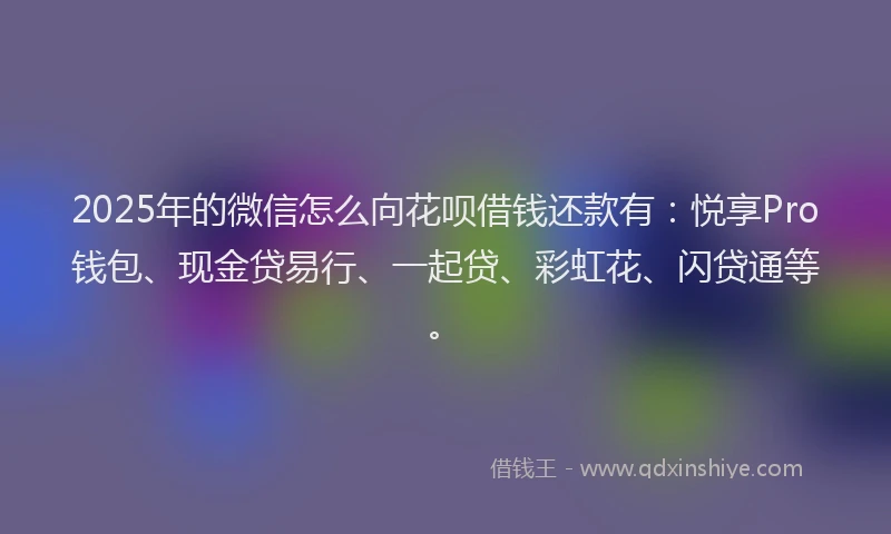 2025年的微信怎么向花呗借钱还款有：悦享Pro钱包、现金贷易行、一起贷、彩虹花、闪贷通等。