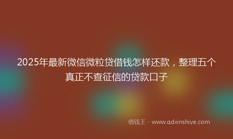 2025年最新微信微粒贷借钱怎样还款，整理五个真正不查征信的贷款口子