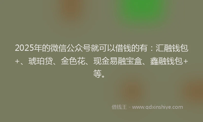 2025年的微信公众号就可以借钱的有:汇融钱包+、琥珀贷、金色花、现金易融宝盒、鑫融钱包+等。