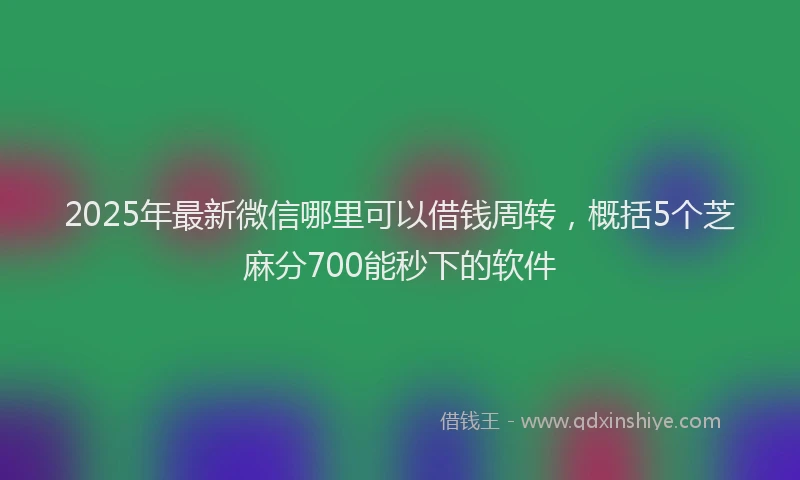 2025年最新微信哪里可以借钱周转，概括5个芝麻分700能秒下的软件