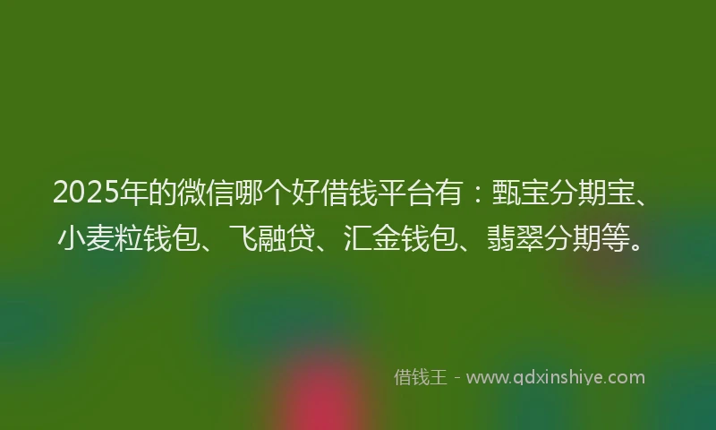 2025年的微信哪个好借钱平台有：甄宝分期宝、小麦粒钱包、飞融贷、汇金钱包、翡翠分期等。