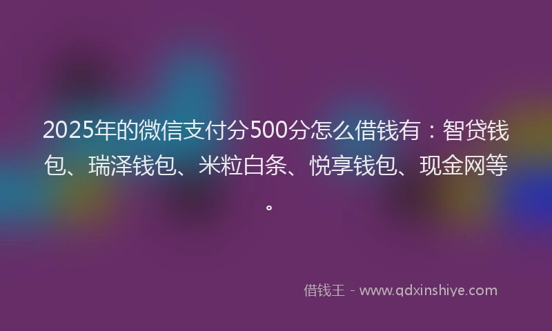 2025年的微信支付分500分怎么借钱有：智贷钱包、瑞泽钱包、米粒白条、悦享钱包、现金网等。