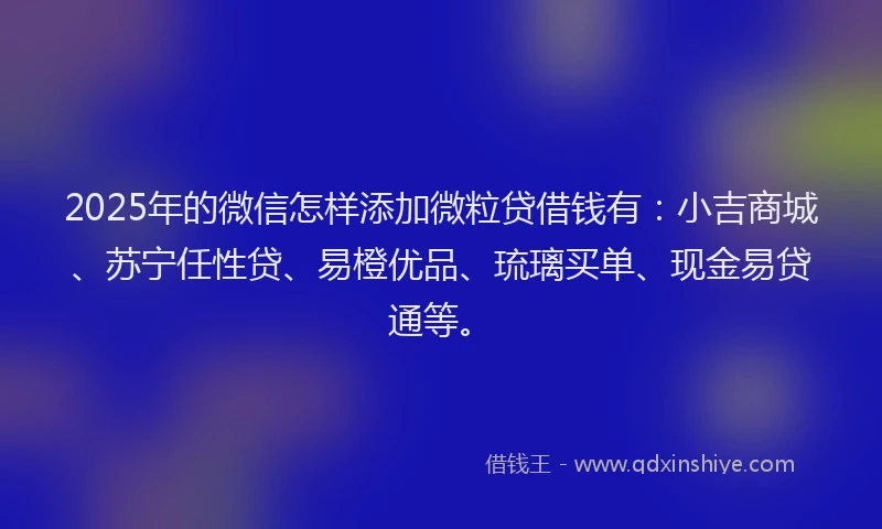 2025年的微信怎样添加微粒贷借钱有：小吉商城、苏宁任性贷、易橙优品、琉璃买单、现金易贷通等。