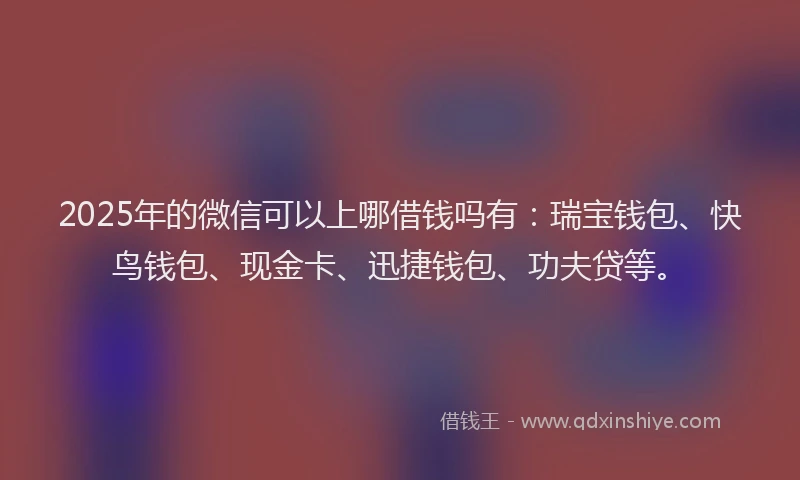 2025年的微信可以上哪借钱吗有：瑞宝钱包、快鸟钱包、现金卡、迅捷钱包、功夫贷等。